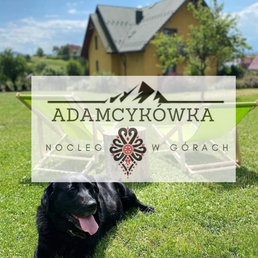 Apartamenty Adamcykowka Blisko Velo Czorsztyn! Kluszkowce Bagian luar foto