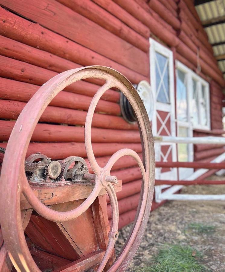 Apartamenty Adamcykowka Blisko Velo Czorsztyn! Kluszkowce Bagian luar foto