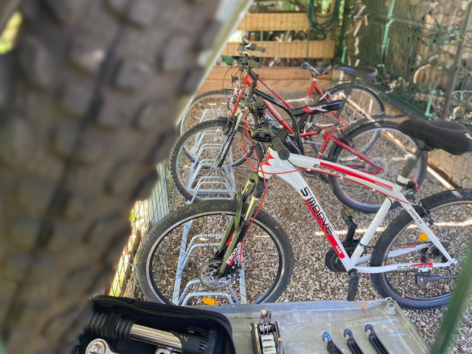 Apartamenty Adamcykowka Blisko Velo Czorsztyn! Kluszkowce Bagian luar foto