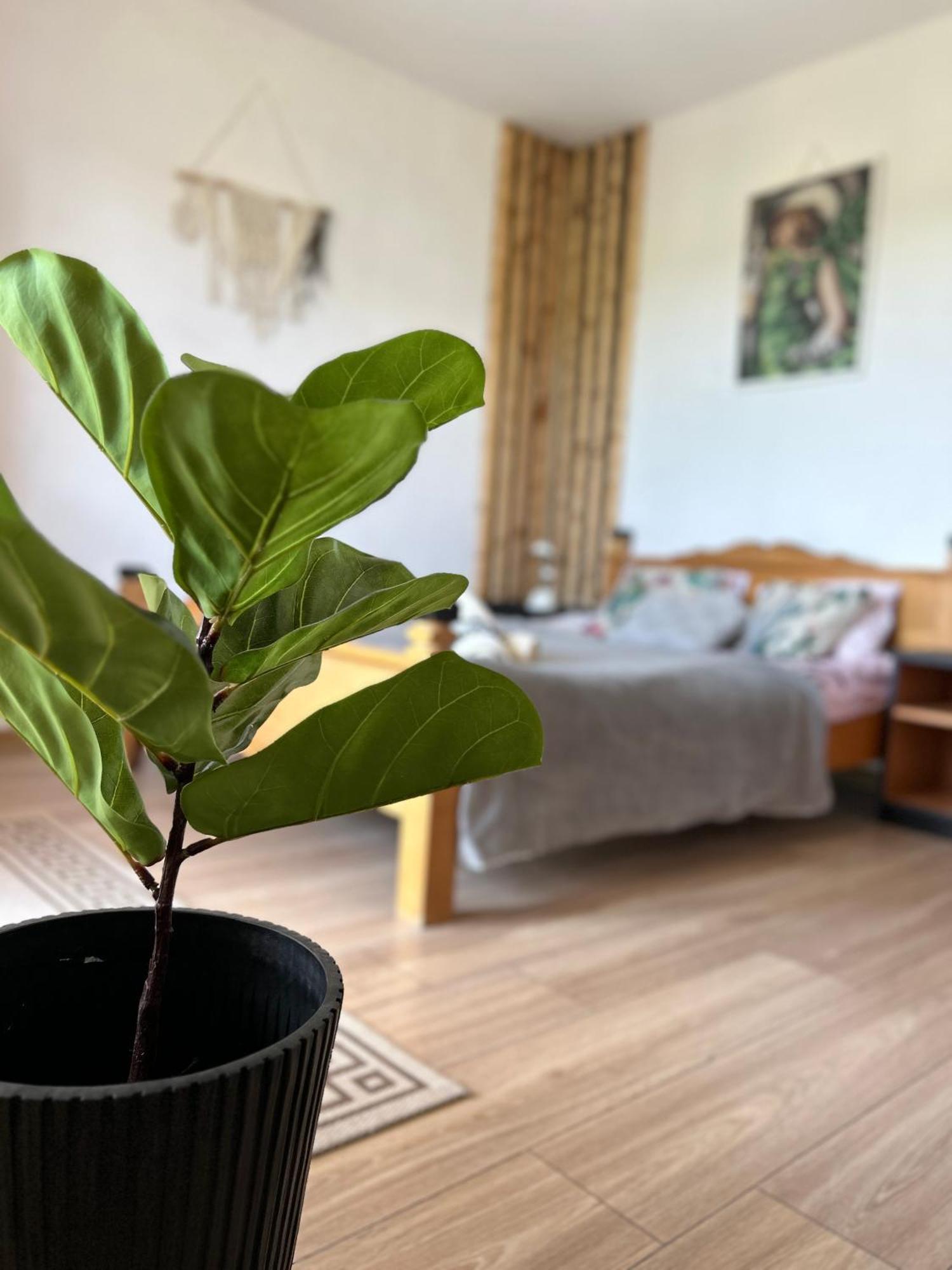 Apartamenty Adamcykowka Blisko Velo Czorsztyn! Kluszkowce Bagian luar foto